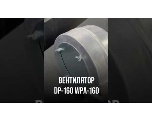 Вентилятор DP-160 WPA-160 %rs_city_gde%
